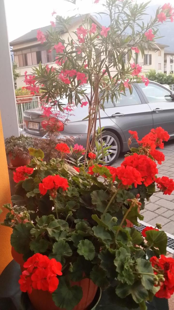 Bed and Breakfast La Casa Del Grillo 1 Аоста Экстерьер фото